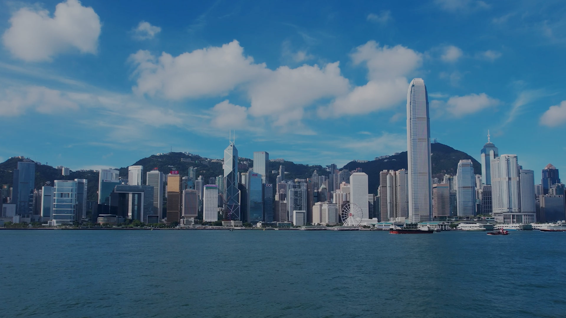 公司简介